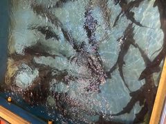 -醉美东江·三文鱼·烧鸡公