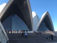 -悉尼歌剧院