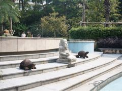 庭院-杭州千岛湖开元度假村
