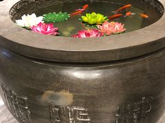 -福照楼汽锅鸡·云南菜(护国路店)