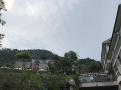 -老幺泉水鸡