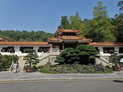 -深圳仙湖植物园