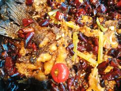 -老板恋上鱼(印象城店)