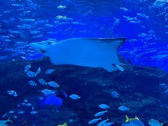 -海合安成都极地海洋公园