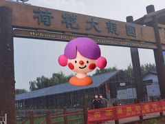 -白洋淀景区