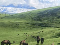 -新疆那拉提国家旅游度假区