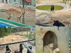 -五龙山野生动物王国