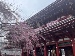 -浅草寺