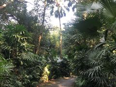 -南宁良凤江国家森林公园