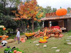 -HERRE·FARM 赫尔露营农场·团建聚会包场