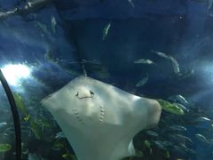 -福州罗源湾海洋世界旅游区