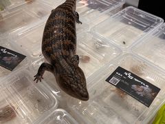 -成都世纪城新国际会展中心