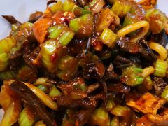 野蘑菇鸡肉炒米粉-西粉堂新疆米粉(朝外店)