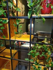 -藤野造型·专业烫染店