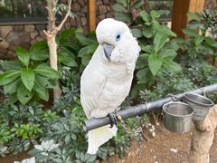 -南宫五洲植物乐园