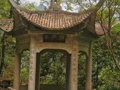 -遂昌金矿国家矿山公园