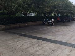 -新华书店(学府大道店)