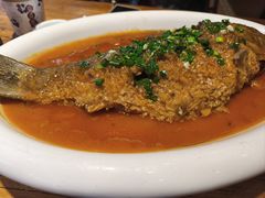 -老雒阳面馆·水席(定鼎门店)