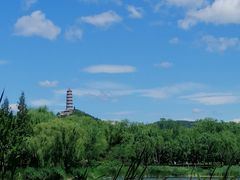 -北坞公园