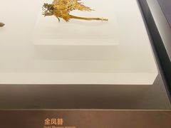 -贵州省博物馆(新馆)