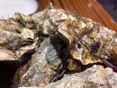 -蚝堡海鲜·威海菜·海肠捞饭·烧烤·亚洲吃蚝公司(幸福门店)