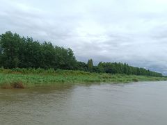 -洪湖生态旅游区