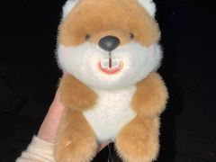 -海底捞火锅(太阳宫凯德mall店)