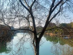 -上海怡沁园度假酒店