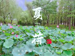 -大宁公园