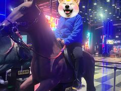 -上海JOYPOLIS环游嘉年华主题乐园