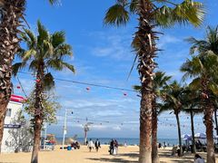 -大梅沙海滨公园