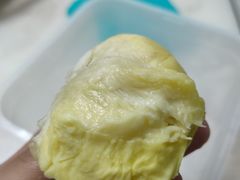 -果叔叁拾加(锦绣生态园店)