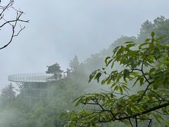-塔云山