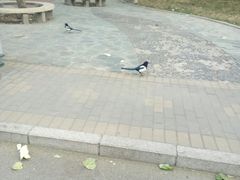 -聚贤贵都宾馆