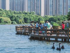 -五缘湾湿地公园