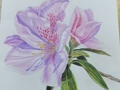 -八哥美术·成人美术画室(总校区)
