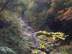 -龙道沟景区