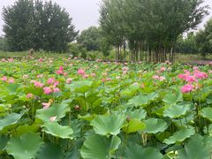 -渔岛海洋度假区