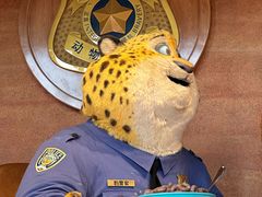 -上海迪士尼度假区