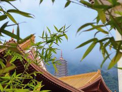 -深圳仙湖植物园