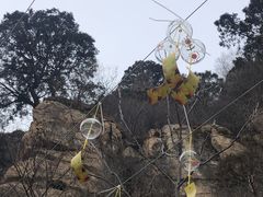 -黑龙潭风景区