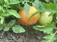 -大宁国际幼儿园(永和东路)