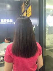 -藤野造型