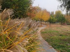 -永定河休闲森林公园