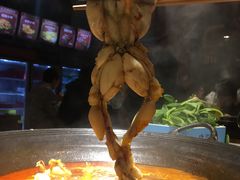 -老天桥蛙炉火锅(姑苏总店)