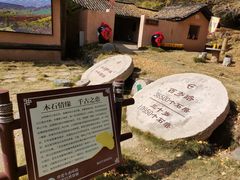-千年银杏谷文化旅游区