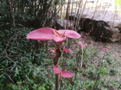 -苏州河梦清园环保主题公园