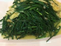 -范记靖远羊羔肉(博物馆店)