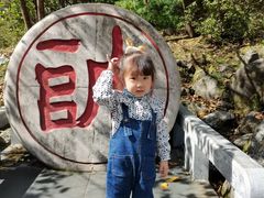 -苍山感通索道
