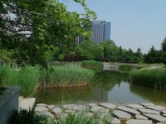 -大望京公园